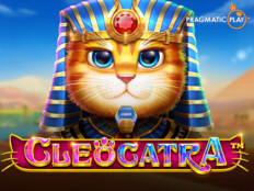 Wildcardcity casino login. Casino bluebet33 indonesia.64